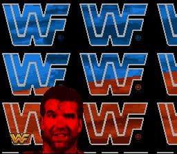 WWF Raw
