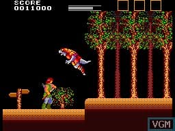 Lord of the Sword (1988)