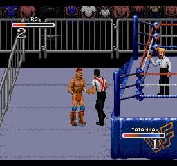 WWF Rage in the Cage